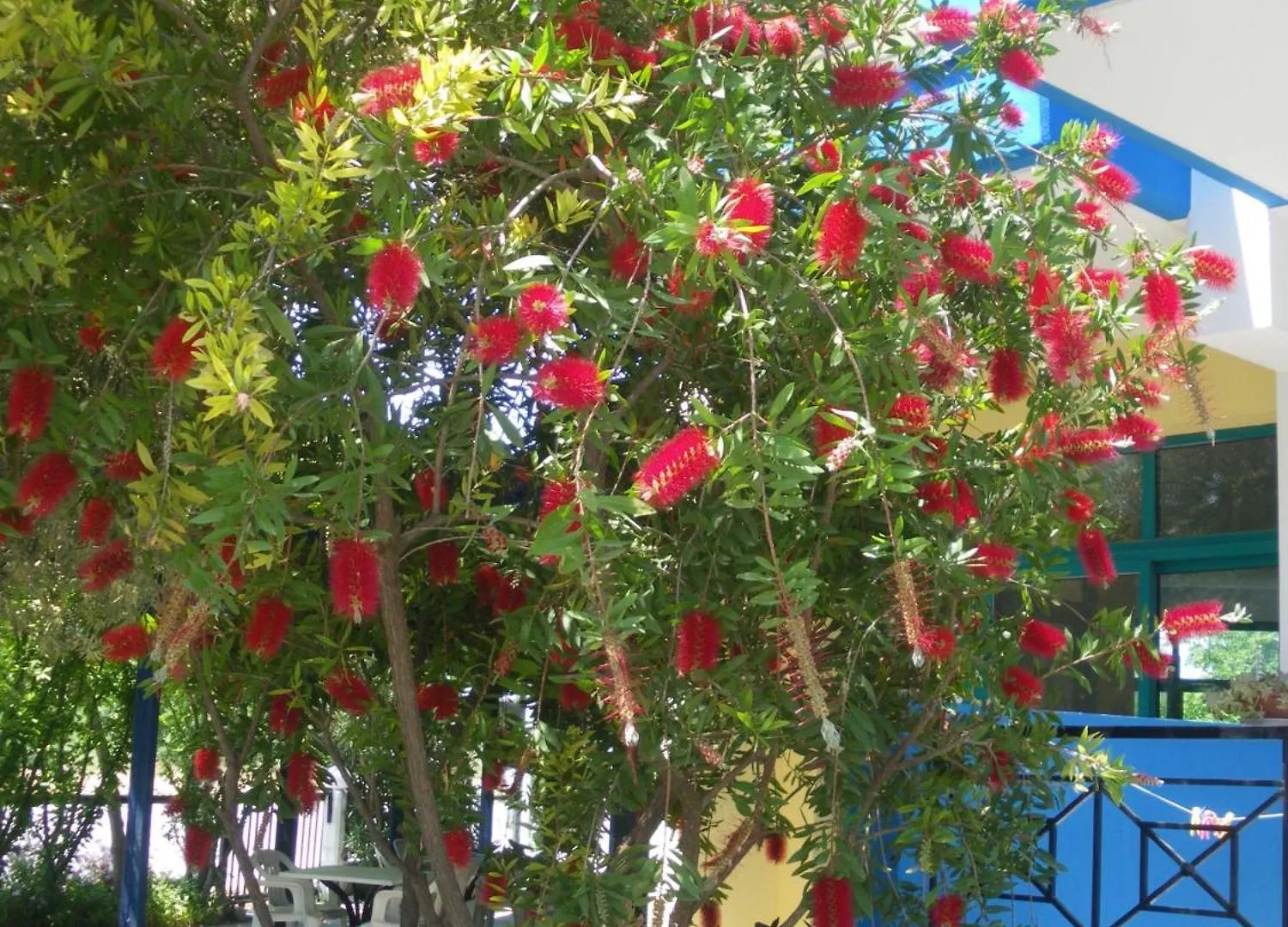 Akti Liakada Hotel Gerakini